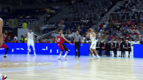 Real Madrid Basketball GIF by ACB