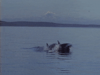 Right Here GIF by SWV