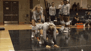 Sport Celebration GIF by Virginia Athletics