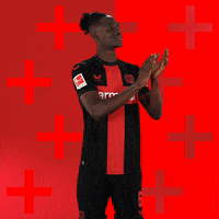 Bayer 04 Applause GIF by Bayer 04 Leverkusen