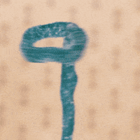 See Ya Goodbye GIF by HARIBO