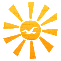 Summer Sun Sticker by Hollister Co.