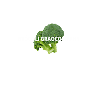 Sticker by Graocompany