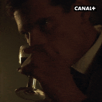 Cheers Serie GIF by CANAL+