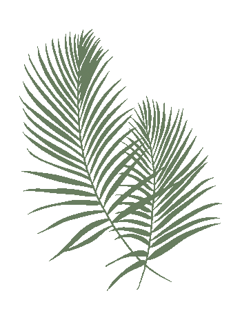 Leaf Sticker