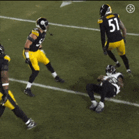 Celebration Nfl GIF by Pittsburgh Steelers