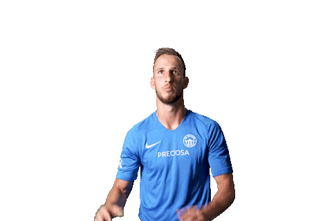 Football Soccer Sticker by FORTUNA:LIGA