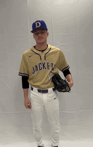 Defibsb GIF by DefianceCollegeAthletics