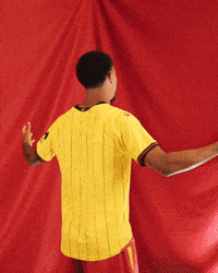 Celebrating Watford Fc GIF by Watford Football Club