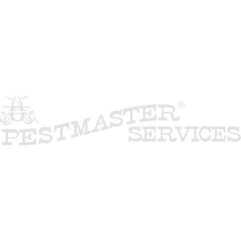 PestMaster giphyupload bugs bats ants Sticker
