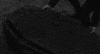 black and white horror GIF