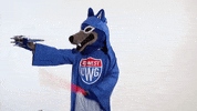 universityofwestgeorgia wolfie gowest uwg maythe4th GIF