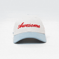 Awesome Head GIF by VeeFriends