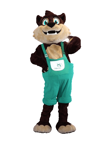 Disco Mascot Sticker by Camping de Kleine Wolf