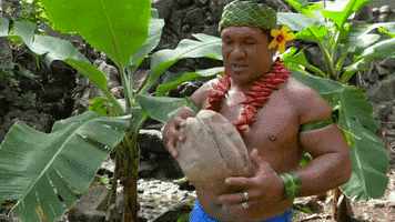 coconuts husk GIF