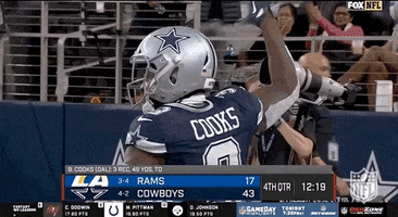 National Football League GIF by NFL