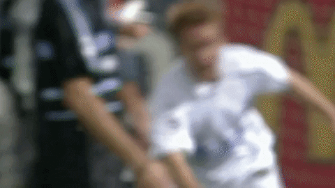 Sturm Graz Celebration GIF by SK Sturm