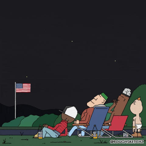 4Th Of July Drinking GIF by Rough Sketchz