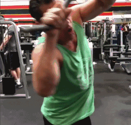 giphyupload GIF
