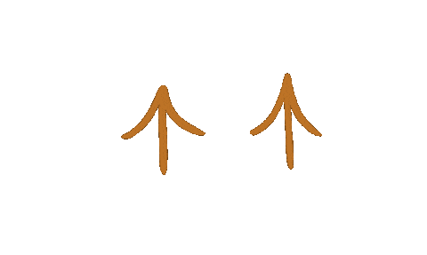 Swipe Up Sticker