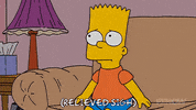 Episode 14 GIF by The Simpsons