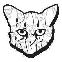 Cat Graffiti Sticker by WEAREPARI