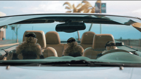 CGCoralisle giphyupload GIF