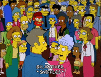 homer simpson GIF