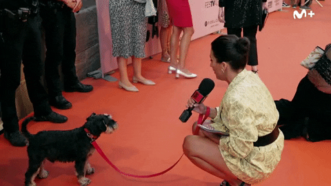 Mila Cero GIF by Movistar Plus+