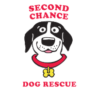 SCDRdogs dogs rescue instadog dogstagram Sticker