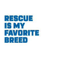 Dpa Loveanimals Sticker by Dallas Pets Alive!
