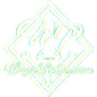 WaynePerformance garage wp firma wayneperformance Sticker