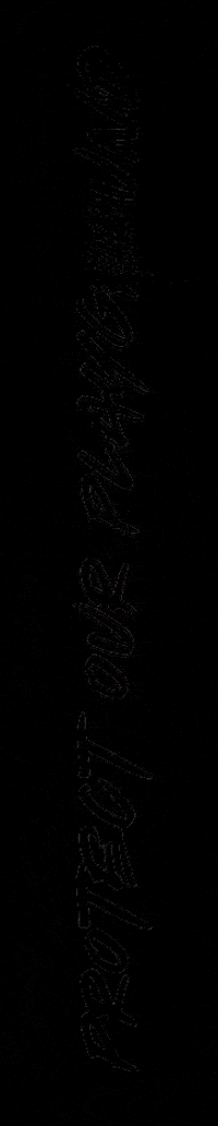 narkedfish narkedfish protectourplayground GIF