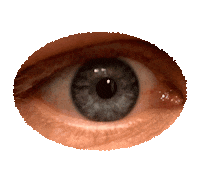 Sticker See Sticker by Jef Caine