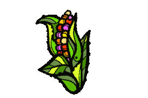 MasPaz corn vegetable maiz elote Sticker