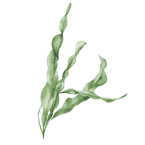 Dermatherm giphyupload naturel aquarelle naturelle Sticker