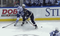st louis hockey GIF by St. Louis Blues