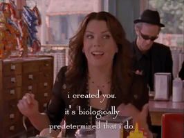 season 3 netflix GIF by Gilmore Girls 