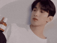 Dk 세븐틴 GIF