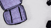 storage organization GIF by The Container Store