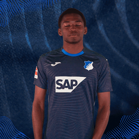 Sport Bundesliga GIF by TSG Hoffenheim