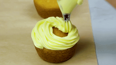 icing on the cake graduation GIF by evite