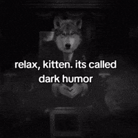 Kitten Wolf GIF