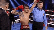 toprank fight boxing fighting espn GIF