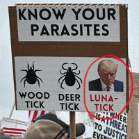 Organize Human Rights GIF by Creative Courage