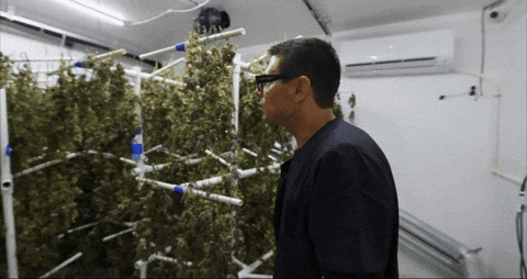 Look Bloom GIF by Exclusive Brands