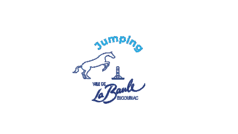 VilleLaBaule giphyupload sport horse equestrian Sticker