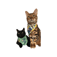 Jungle Book Disney Sticker by Geekster Pets