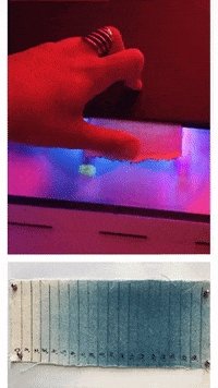 linalopes  GIF
