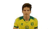 Premier League Norwich City Sticker Sticker by Norwich City Football Club